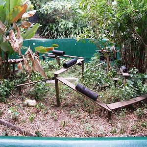 Grison Enclosure at Zoo Simon Bolivar, 12/04/14