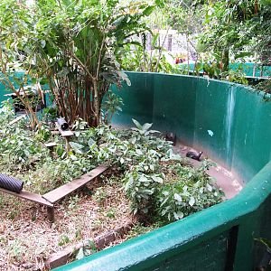 Grison Enclosure at Zoo Simon Bolivar, 12/04/14