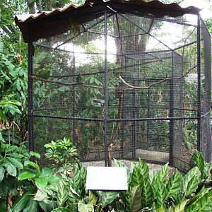 Conure Aviary at Zoo Simon Bolivar, 12/04/14