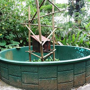 Porcupine Exhibit at Zoo Simon Bolivar, 12/04/14