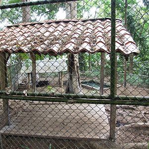 Tapir Enclosure at Zoo Simon Bolivar, 12/04/14