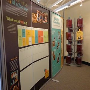 Working Wild Interactive Classroom in the Animal Care Center