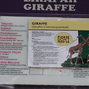 giraffe signage