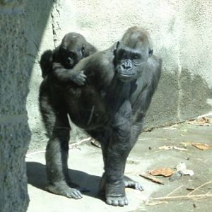 Mother and Son: Ivan and Moka