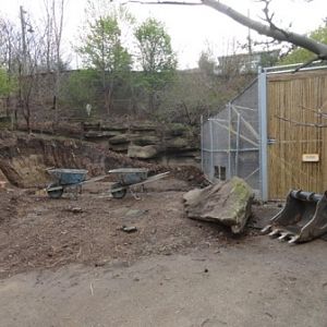 Construction at Komodo Exhibit