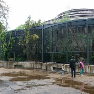 Great Cat house exterior