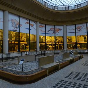 Great Cat House Interior