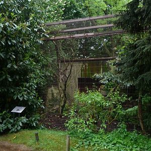 Pallas' cat enclosure