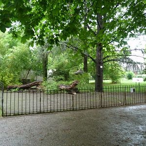 Chilean Pudu enclosure