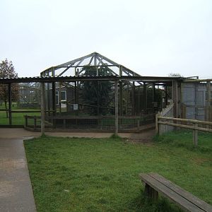 View towards Jaguarundi enclosure