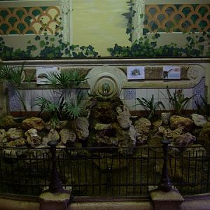 Reptile house interior