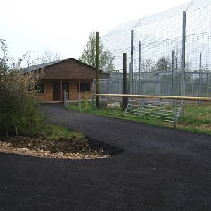 View of new Tiger House and White Tiger enclosure