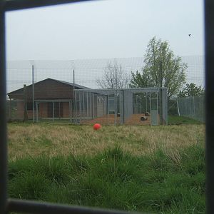 View of new Tiger House and White Tiger enclosure