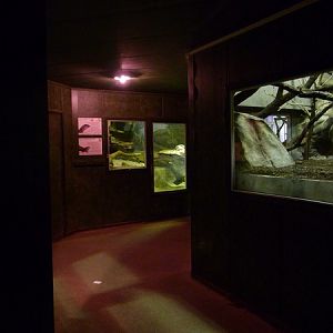 Reptile house interior