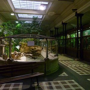 Reptile house interior