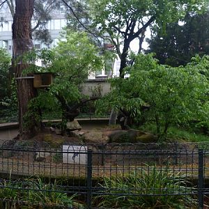 Rock squirrel enclosure