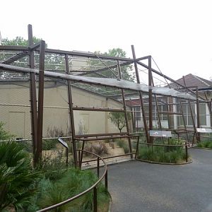 MacQueens bustard enclosure