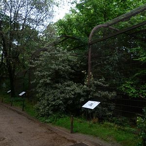 Owl enclosures