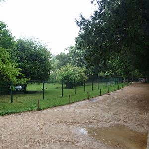 Red-necked wallaby enclosure