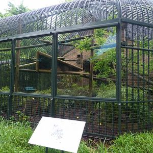 Racoon enclosure