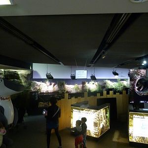 Entrance area and freshwater tanks