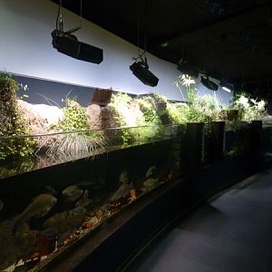 European freshwater tanks