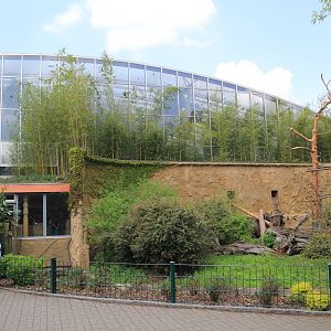 Afikahaus (pavilion for Elephants, Mandrills, ...)