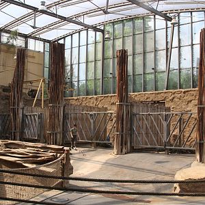 Inside Afikahaus (pavilion for Elephants, Mandrills, ...)