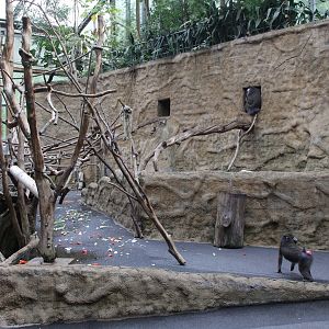 Inside Afikahaus (pavilion for Elephants, Mandrills, ...)