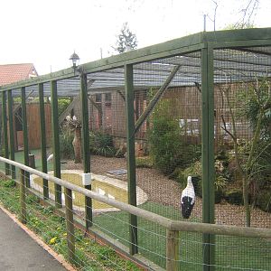 View of Wading Bird Aviary