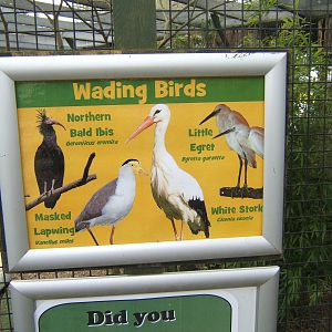 Wader Aviary signage
