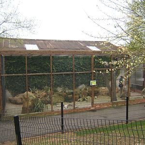 View of Vulture Aviary