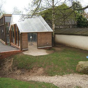 Sulcatta House and view of part of the enclosure they share with the Parma