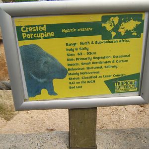 View of signage style