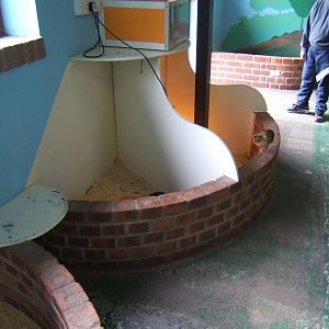 View of part of small mammal house