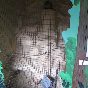 View of Chinchilla enclosure