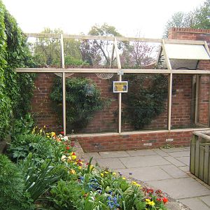 Outside enclosure for Marmosets