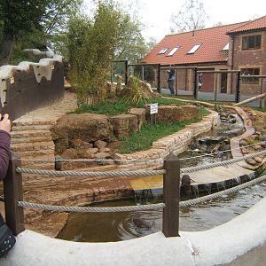 View of Asian Short-clawed Otter enclosure