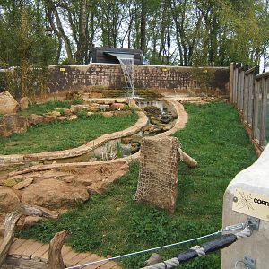 View of Asian Short-clawed Otter enclosure