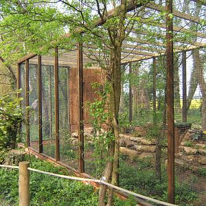 Great Grey Owl Aviary