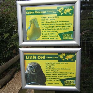 Mixed Aviary signage