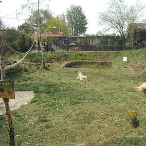 View from inside the Lemur House of the Lemur exhibit