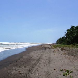 Tortuguero Beach, 13/04/14