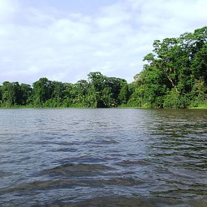 Canals of Tortuguero, 13/04/14