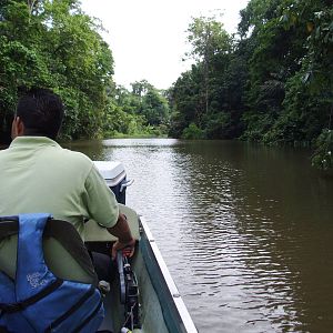 Canals of Tortuguero, 13/04/14
