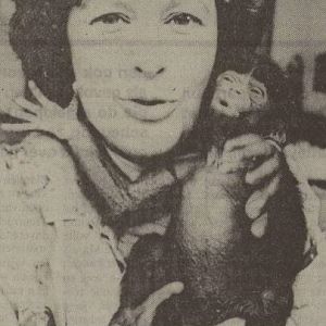 Naomi, the first Bonobo born in the Netherlands