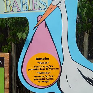 May. 2014 - Zoo Babies Sign for Jungle Trails