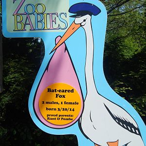 May. 2014 - Zoo Babies Sign for Night Hunters