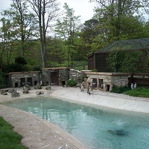 Penguin Pool, 4th May 2014