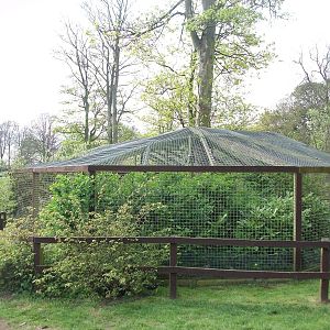 Capuchin exhibit, 4th May 2014